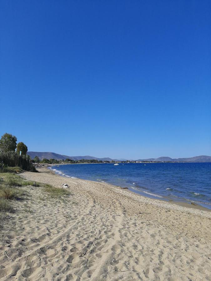 Cozy Flat In Nea Makri Appartement Buitenkant foto